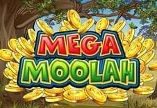 Mega Moolah - Who Wants to be a Millionaire?
