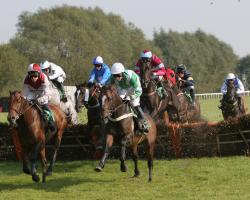 horse race betting online