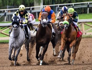Online Horse Racing Bet Types