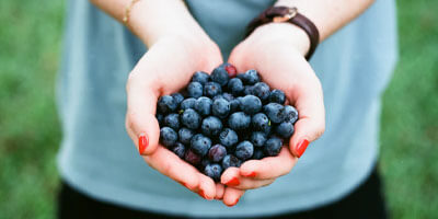 blueberries - a brain food for gambling