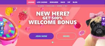 Spin Pug Casino Review