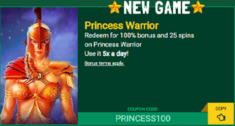 Princess Warrior pokie bonus at Fair Go Casino