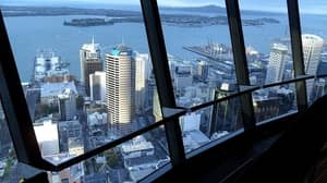 Top Land Based Casinos In New Zealand 2021