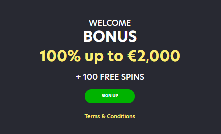 LionSpin Casino Welcome Bonus