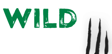 https://wp.casinoshub.com/wp-content/uploads/2018/11/wild-casino-logo.png