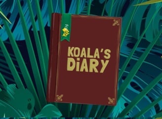 Fair Go Casino Koala Diary Weekly Bonus