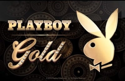 https://wp.casinoshub.com/wp-content/uploads/2023/12/Playboy-Gold_0.jpg