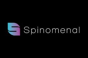 Spinomenal Software providers for Online Casinos