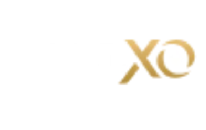 https://wp.casinoshub.com/wp-content/uploads/2024/05/rollXO-casino-logo.webp