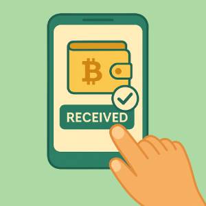 Verify the funds in your wallet