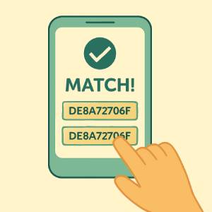 Compare the generated hash with the pre-game hash